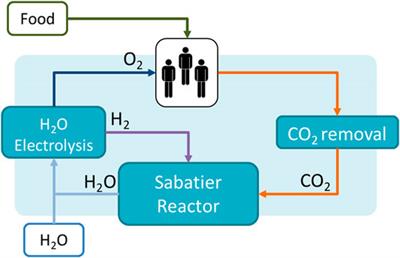 Chlorella Vulgaris Photobioreactor for Oxygen and Food Production on a Moon Base—Potential and Challenges